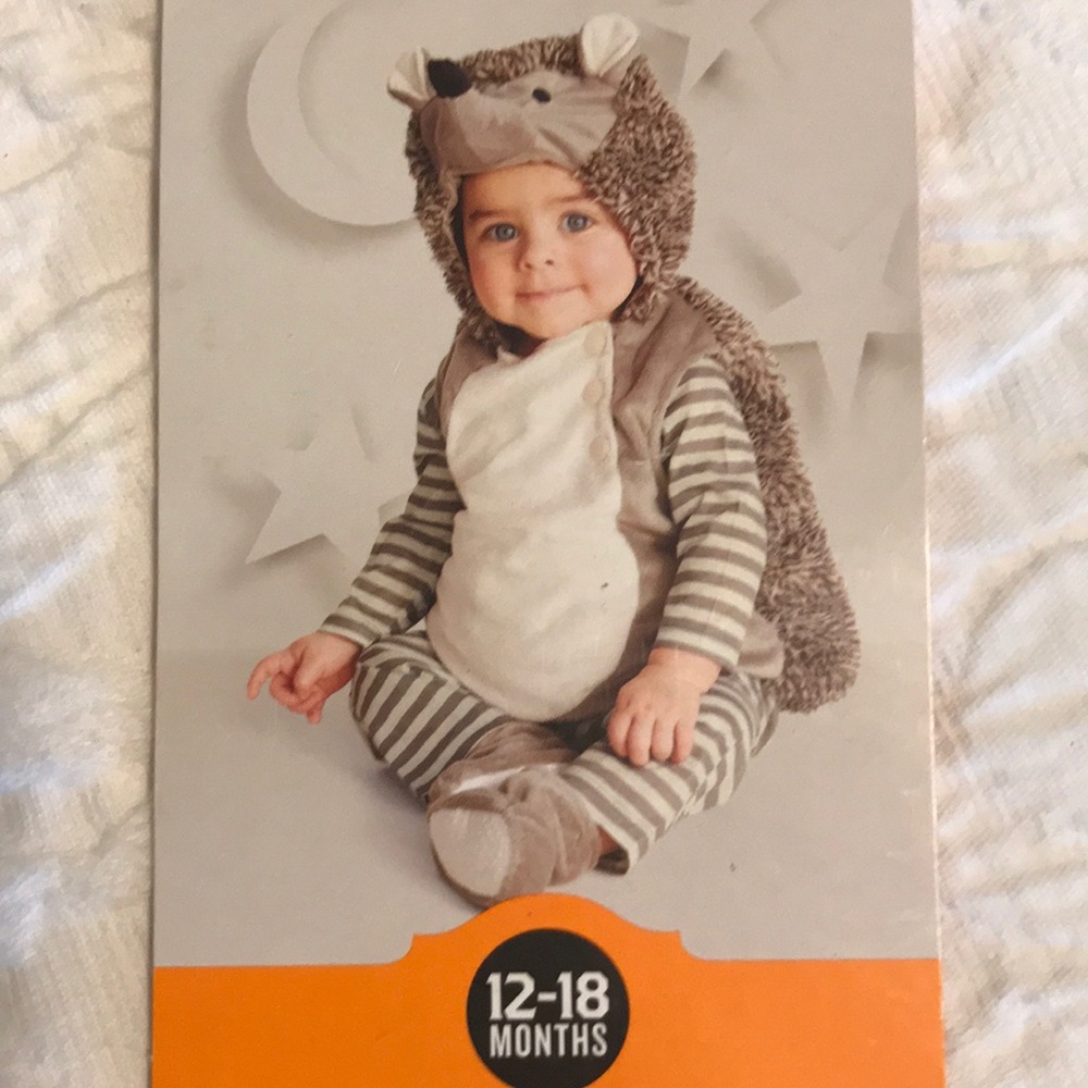 Adorable Hedgehog Halloween costume 12-18 months